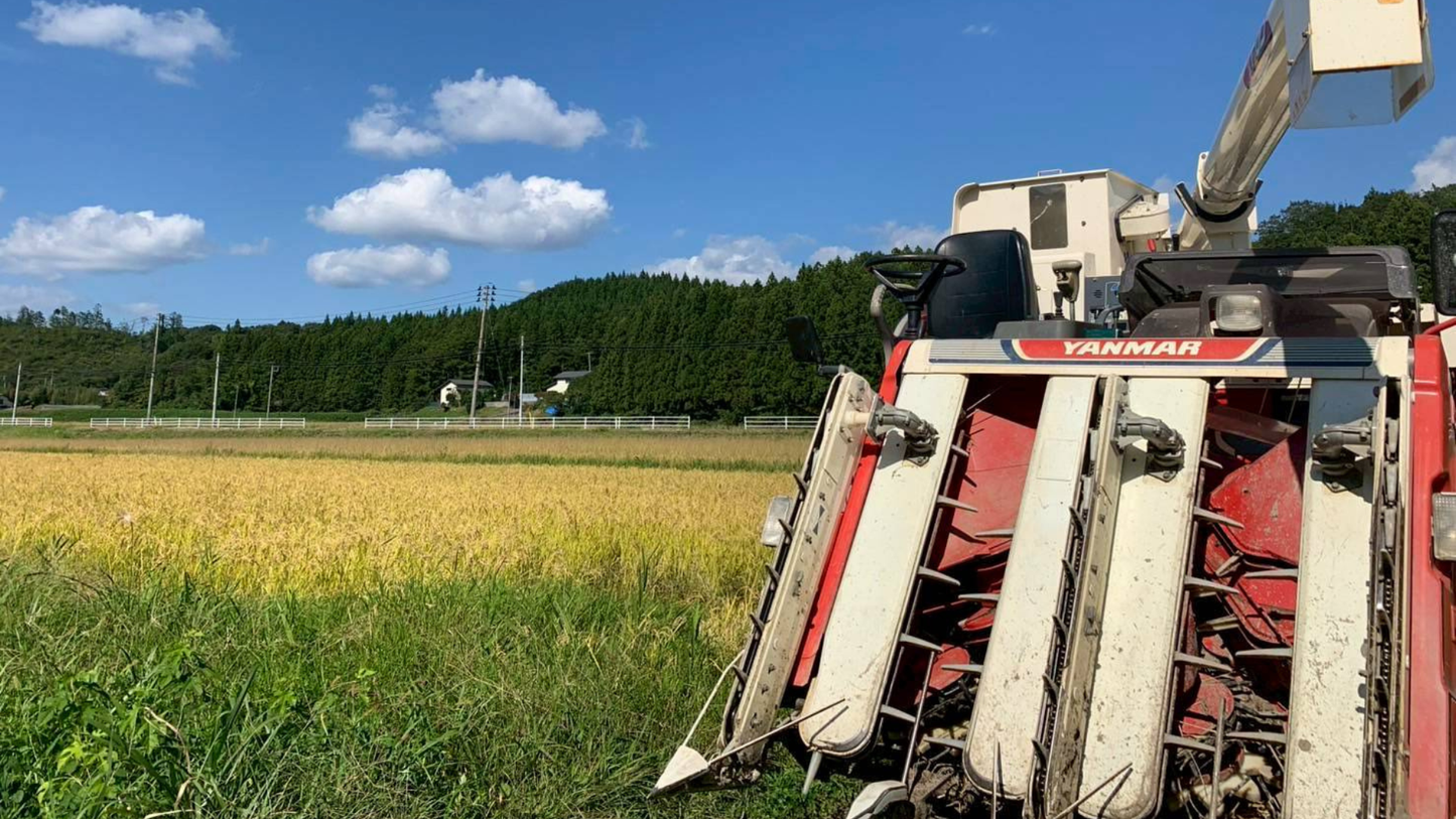 【白米】自然栽培のお米(約27kg) 〜白米〜農薬・化学飼料不使用