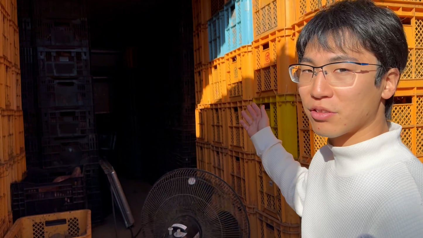 【かんたん便利】素材そのまま！熟成貯蔵さつまいもペースト（10kg）【冷凍】