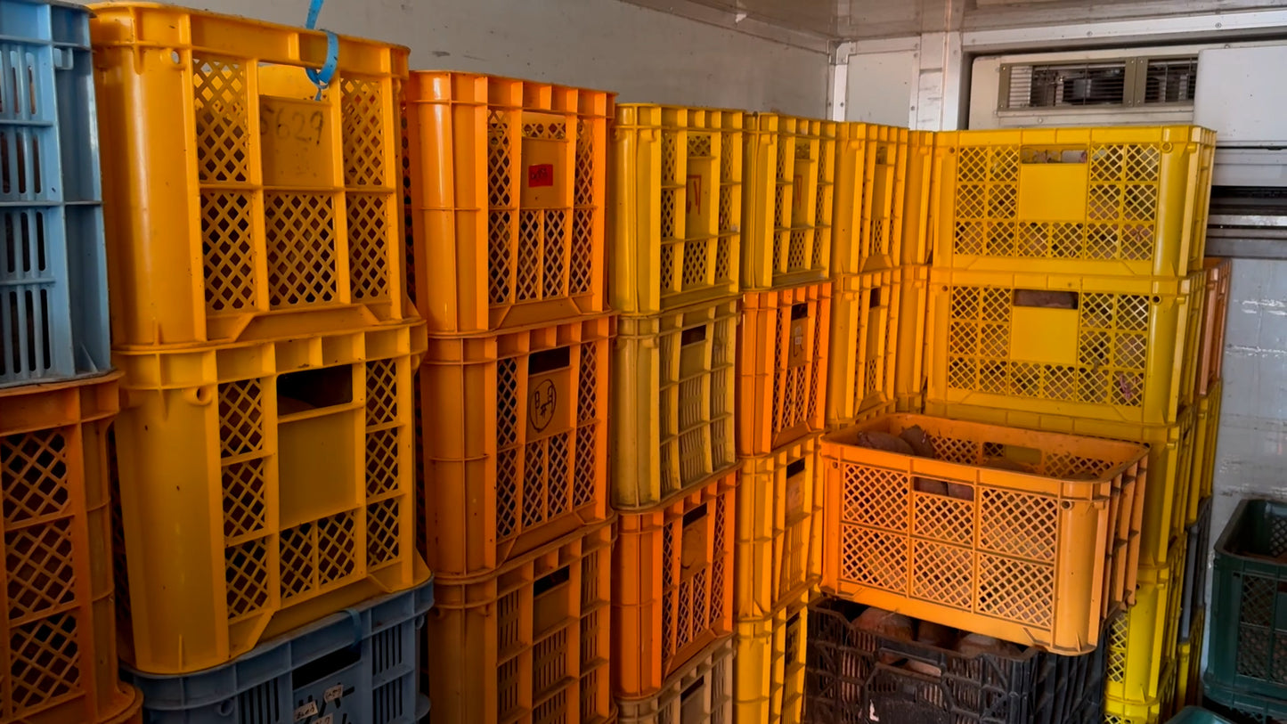 【かんたん便利】素材そのまま！熟成貯蔵さつまいもペースト（10kg）【冷凍】