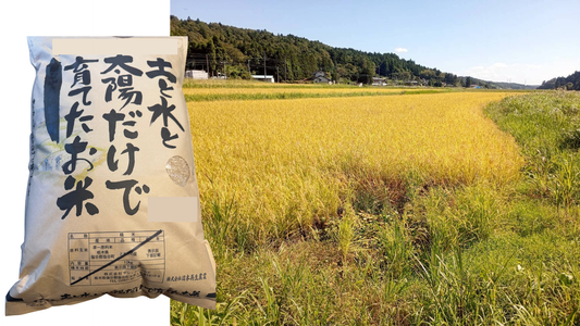【玄米】自然栽培のお米(30kg) 〜玄米〜農薬・化学飼料不使用