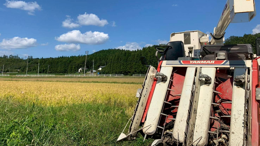 【無洗米白米】自然栽培のお米(26g) 〜無洗米白米〜農薬・化学飼料不使用